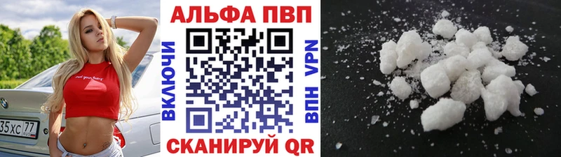 APVP СК Асино