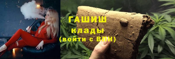 прущие грибы Переславль-Залесский