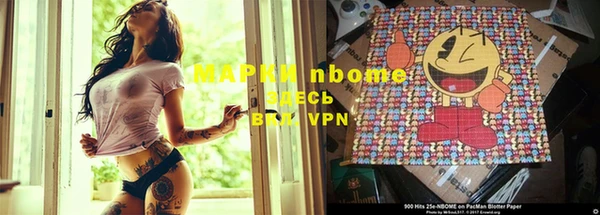 молекула духа Пестово