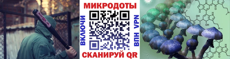 Галлюциногенные грибы Psilocybine cubensis  где найти наркотики  сайты даркнета телеграм  Асино 